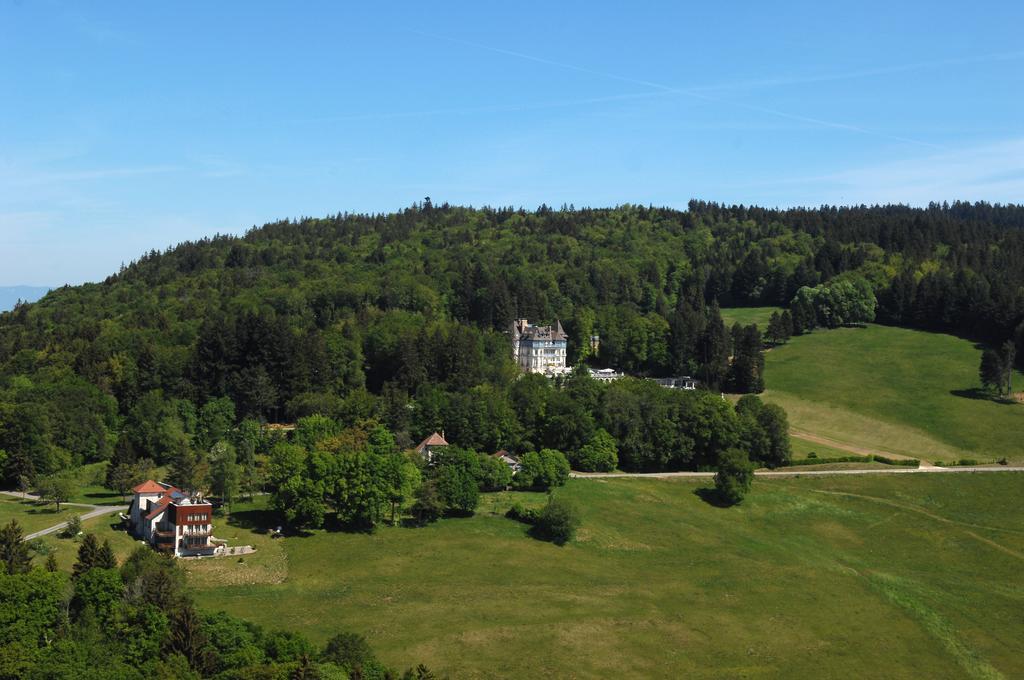 Chateau Des Avenieres Cruseilles Exteriér fotografie
